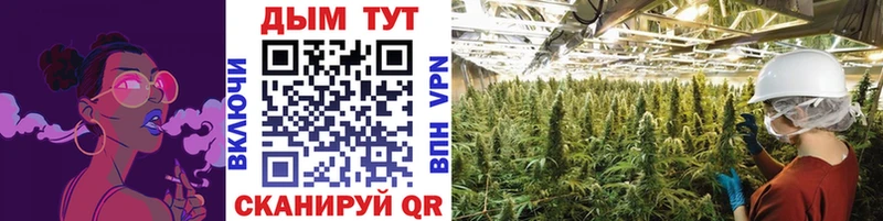 Наркошоп купить Cocaine  A PVP  Мефедрон  Кола